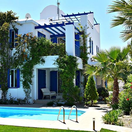 Latchi Beach Front Villa - Private Heated Pool - Amazing Uninterrupted Sea Views Polis Exterior photo